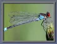 naturfotos010012.jpg
